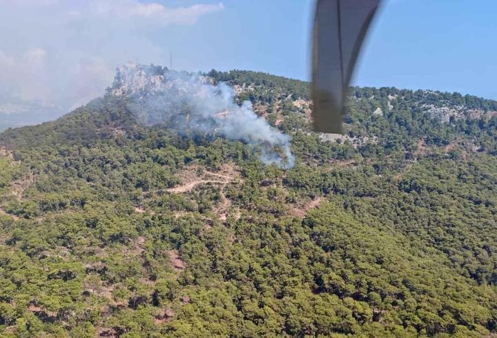 Antalya'da orman yangını: Kontrol altına alındı