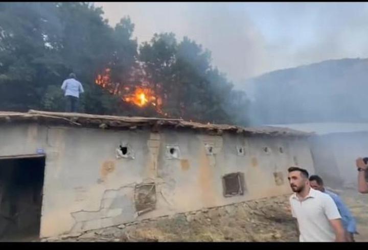 Hakkari'de çıkan orman yangını kontrol altına alındı