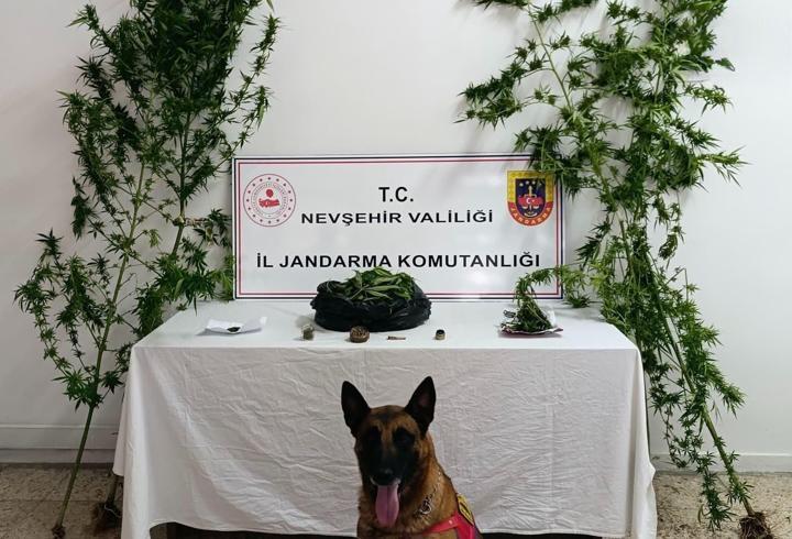 Nevşehir'de uyuşturucu operasyonu: 2 gözaltı