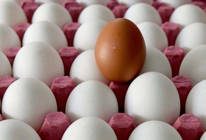 Yumurta fiyatında dikkat çeken artış: Nedeni belli oldu