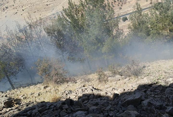 Mardin’de örtü yangını
