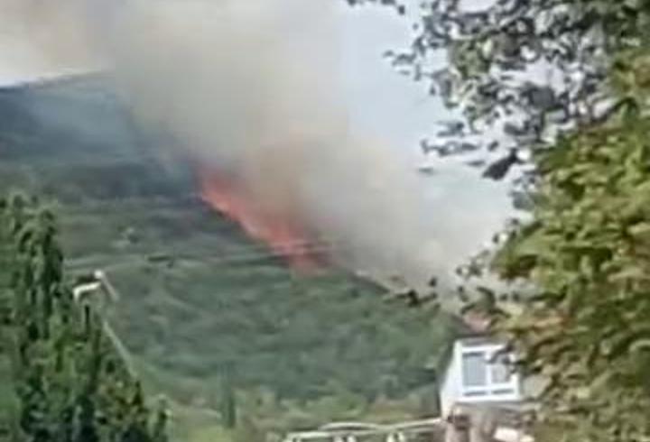 Kocaeli'de orman yangını