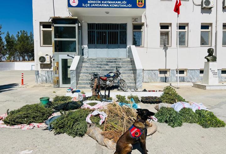 Şanlıurfa'da uyuşturucu operasyonunda 3 şüpheli yakalandı