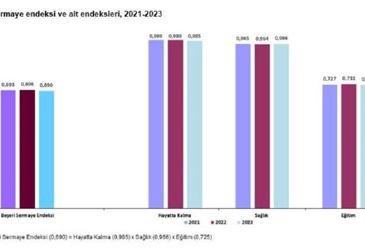 TÜİK açıkladı: Beşeri sermaye endeksi 2023'te 0,690 oldu