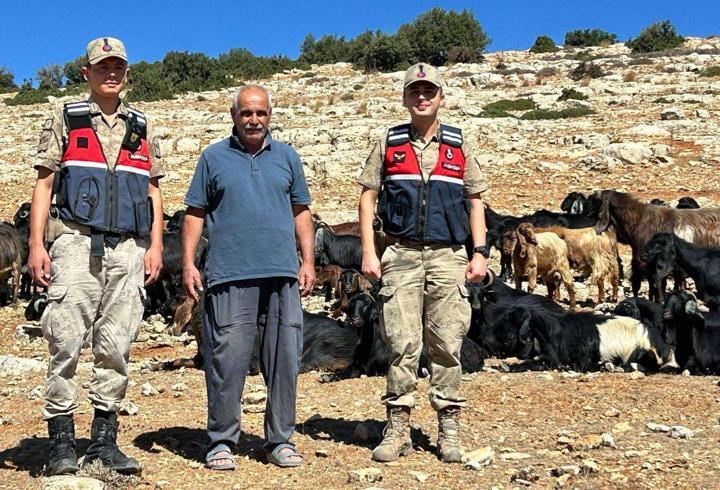 Kilis’te kayıp 100 küçükbaş hayvan bulundu