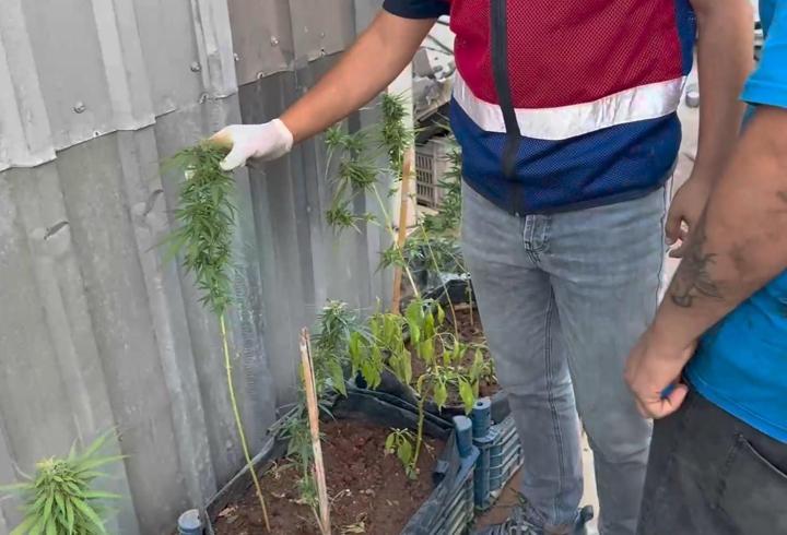 Mersin’de uyuşturucu operasyonu: 2 gözaltı