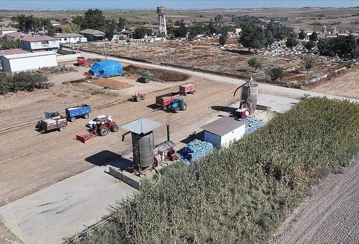 Edirne’de çeltik hasadı sonrası kurutma mesaisi başladı