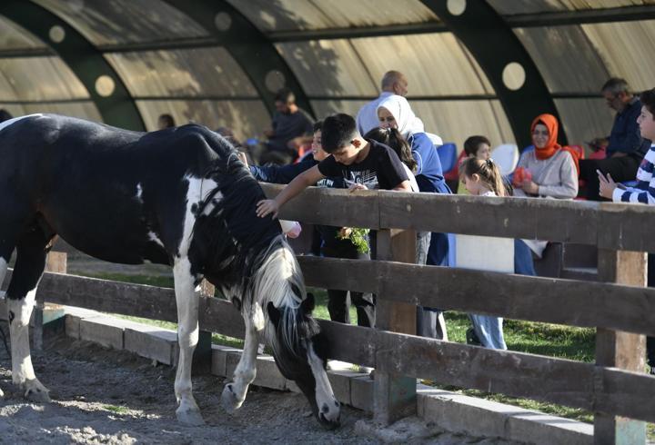 Büyükşehir Belediyesi Hayvanat Bahçesi'ne yoğun ilgi