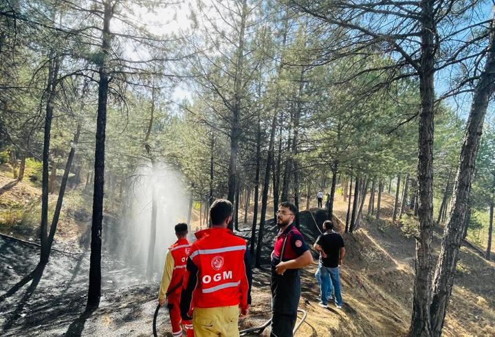 Genç’te çıkan orman yangını söndürüldü