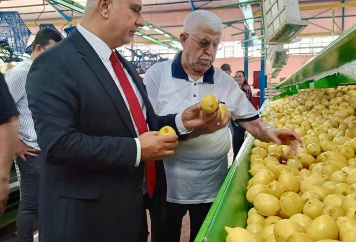 Hatay’da limon ihracatı denetlendi