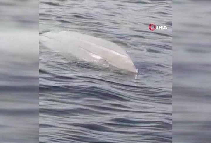 MERCEK ALTINDA! Karadeniz'de bir cisim daha bulundu