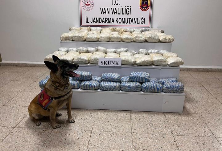 Van'da 47 kilo 800 gram skunk ele geçirildi