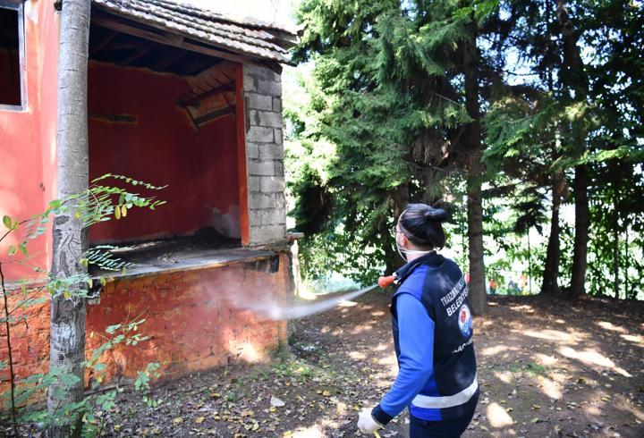 Kokarcaya karşı yoğun ilaçlama