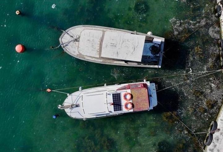 Marmara'da küçük balıkçılara müsilaj desteği