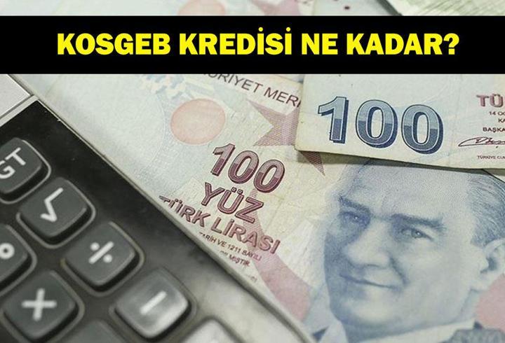 KOSGEB kredisi ne kadar? 2025 KOSGEB destek programı başvuruları ne zaman bitecek?