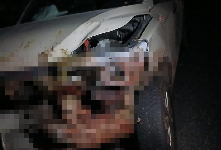 Elazığ’da kamyonet sürüye çarptı: 30 küçükbaş öldü