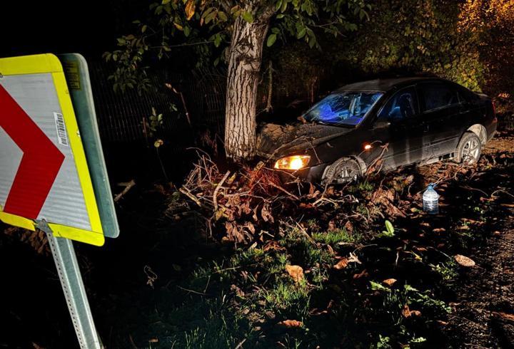 Bursa'da otomobil ağaca çarptı: 3 yaralı