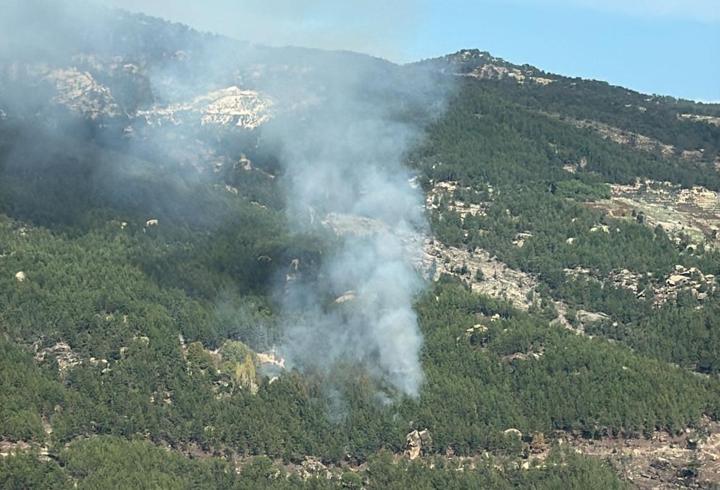 Muğla'da ormanlık alanda yangın çıktı