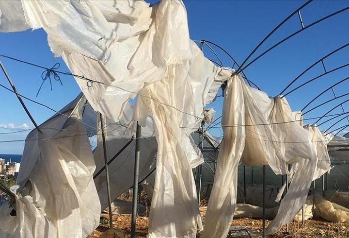 Tarım sigortasında ekim ayında 11,6 milyar liralık tazminat ödemesi yapıldı