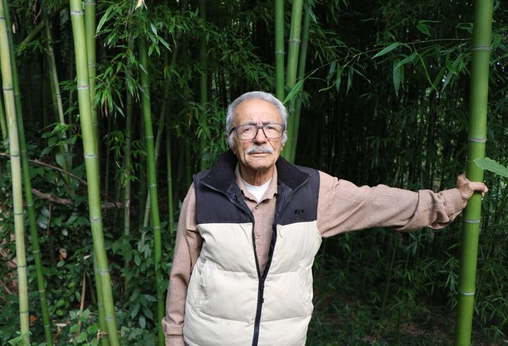 Samsun'da 10 yıldır bahçesinde bambu yetiştiriyor
