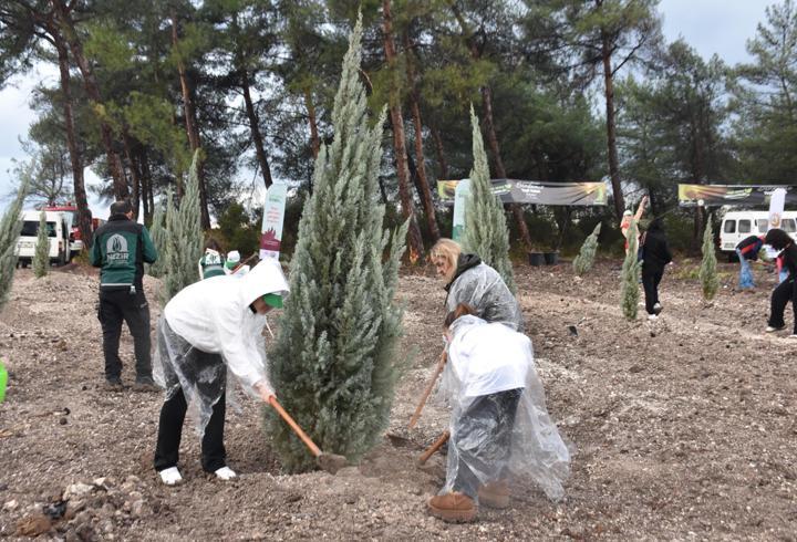 İzmir’de 115 bin adet fidan toprakla buluşturuldu