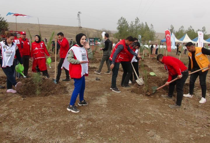 Kilis’te fidanlar toprakla buluştu