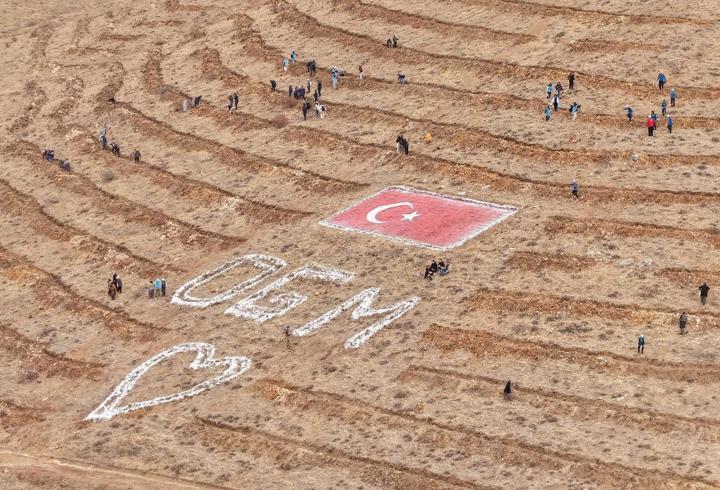 Kayseri’de 35 bin fidan dikildi