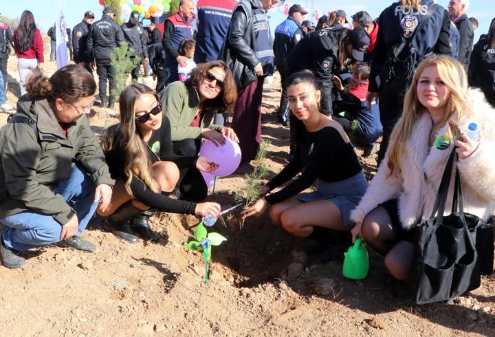 Burdur'da fidan dikimi