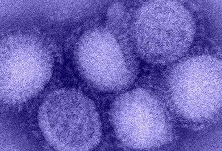 Kuzey Yarımküre'de 'H3N2' alarmı: Hızla yayılıyor!