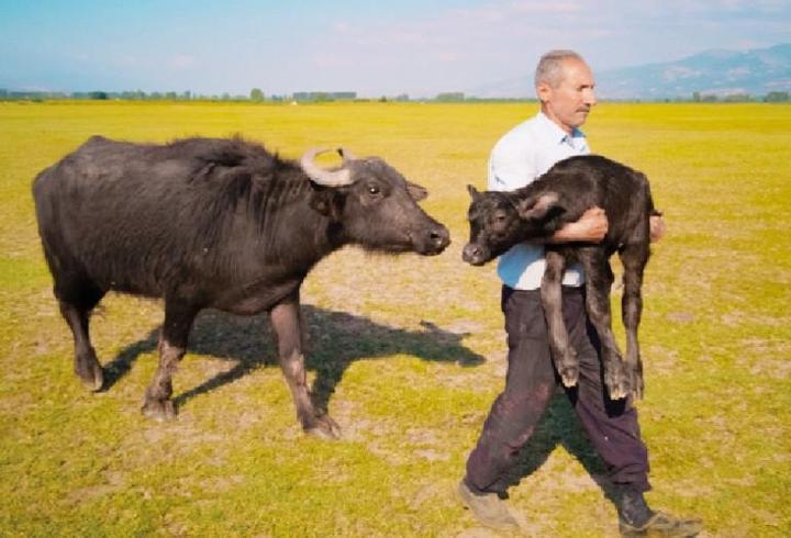 Brent petrol fiyatlarındaki dalgalanmalar tabelalara zam veya indirim olarak yansımaya devam ediyor. Ukrayna'nın Rus Petrol limanlarına yönelik dron saldırılarının ardından brent petrol fiyatları yükselişe geçti. Benzine bu gece yarısından itibaren geçerli olmak üzere zam bekleniyor. İşte 14 Kasım İstanbul, Ankara, İzmir akaryakıt fiyatları...
1