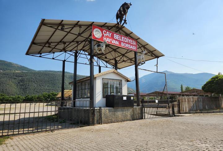 Çay hayvan borsası açıldı