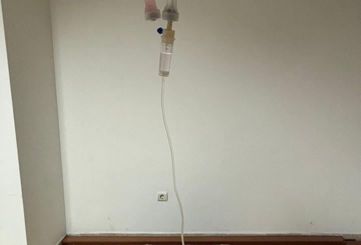 Sitenin köpeği 'Fıstık' için yürüteç