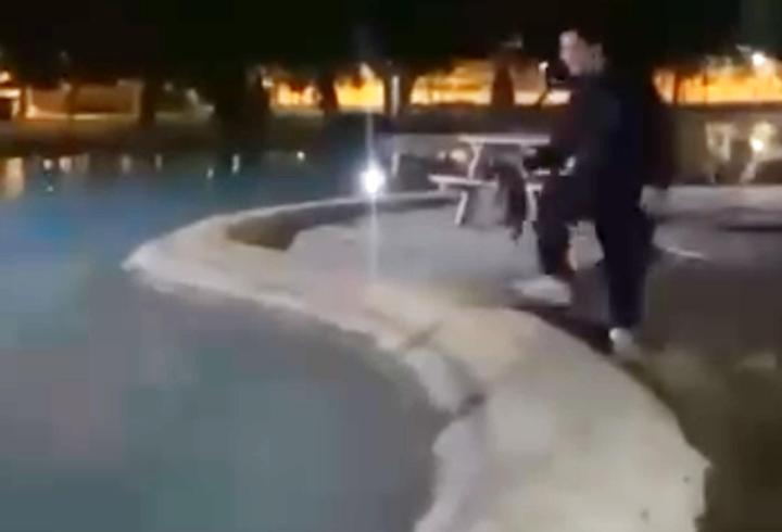 Sokak kedisini defalarca süs havuzuna attılar