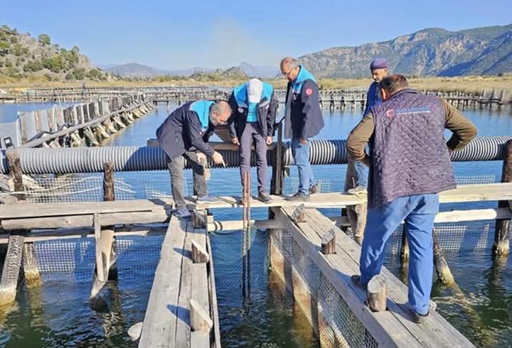 Muğla’da su ürünleri denetimi