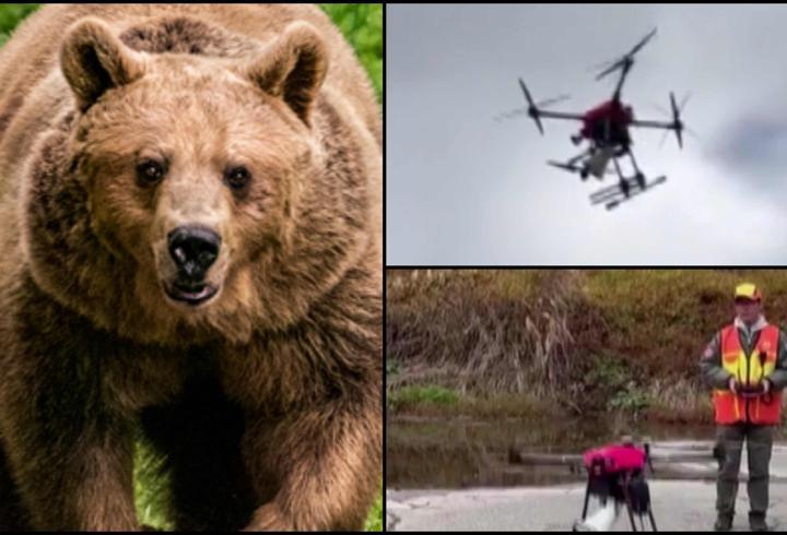 Japonya’da artan ayı saldırılarına karşı yeni önlem: Havlayan dronlar