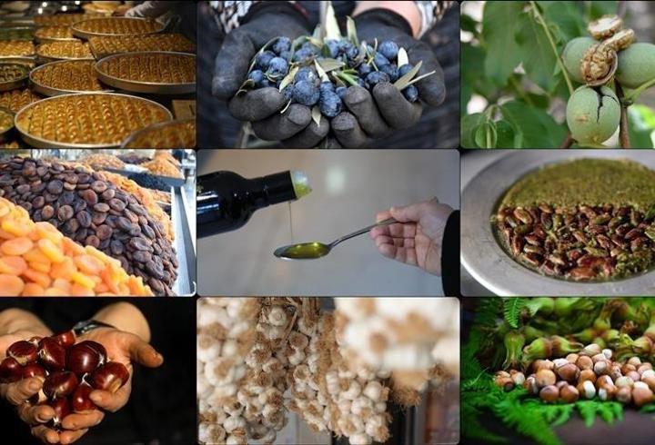 AB’de tescilli Türk Ürünleri 42’ye ulaştı