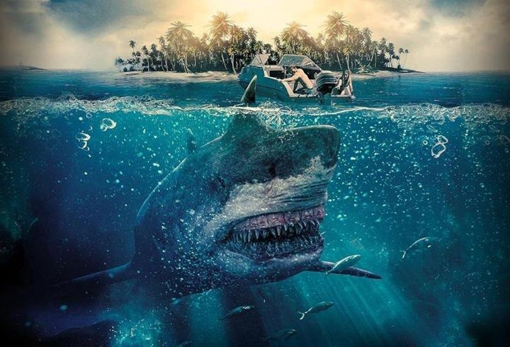 Zehirli Köpek Balığı konusu nedir? Zehirli Köpek Balığı oyuncuları kimler?