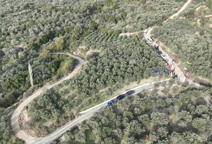 Hatay’da zeytin hasadına başlandı; 201 bin ton rekolte bekleniyor
