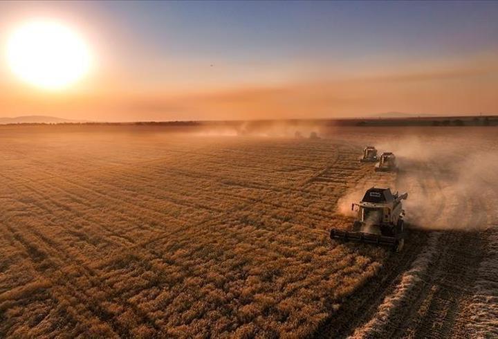 Çiftçilere 331,6 milyon liralık destek ödemesi