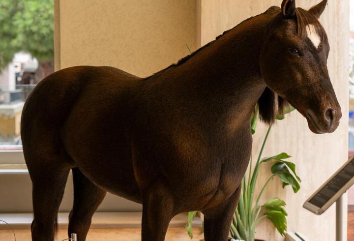 Espressolab’ın animatronik kahvesi