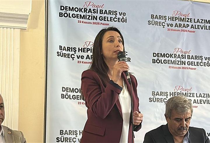 Hatimoğulları: CHP'nin İmralı'ya gitmesini çok önemsiyoruz