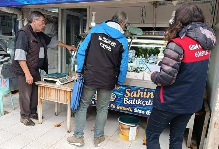 Gelibolu'da balıkçı tezgahları denetlendi