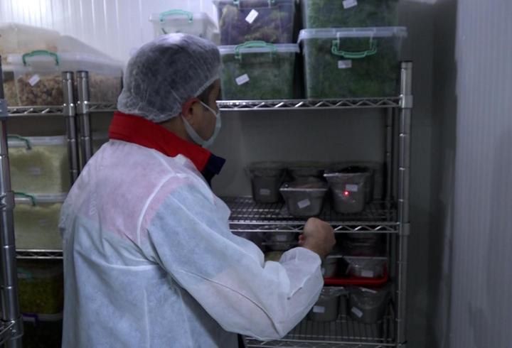 Samsun'da gıda denetiminde 20 milyon TL’yi aşan ceza