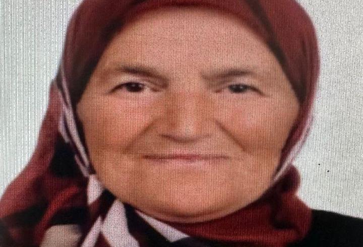 Kayıp kadını arama çalışmalarında 2'nci gün