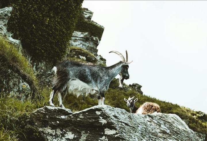 DKMP ekiplerinden yasa dışı avcılığa geçit yok