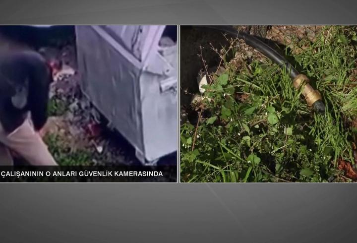 Önce kesti, sonra onardı: Pendik’te skandal görüntüler