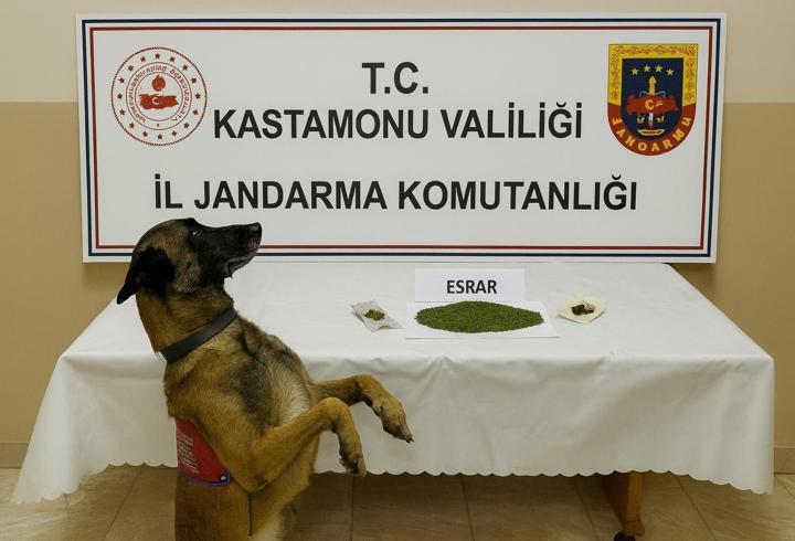 Kastamonu'da uyuşturucu operasyonu: 1 tutuklama