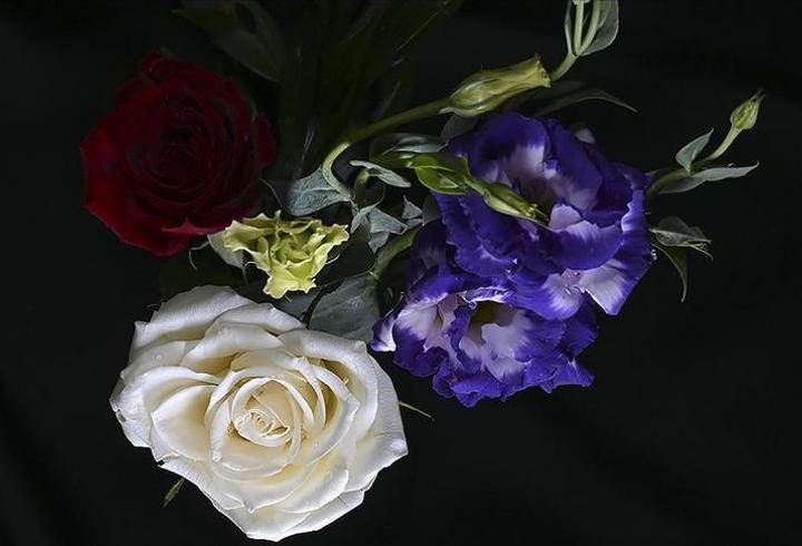 Türkiye'den yılbaşı için 12 milyon dolarlık çiçek ihracatı