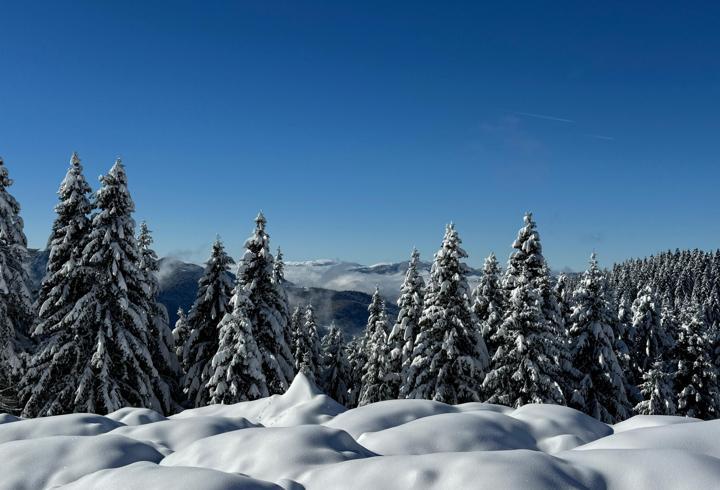Ordu'da 2 bin rakımlı yaylada kar manzarası