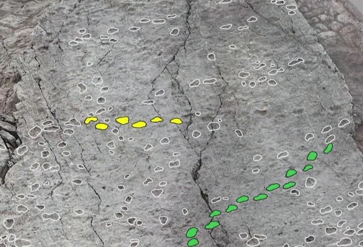 İtalya’da heyecanlandıran keşif: Bu izler tam 210 milyon yıllık!